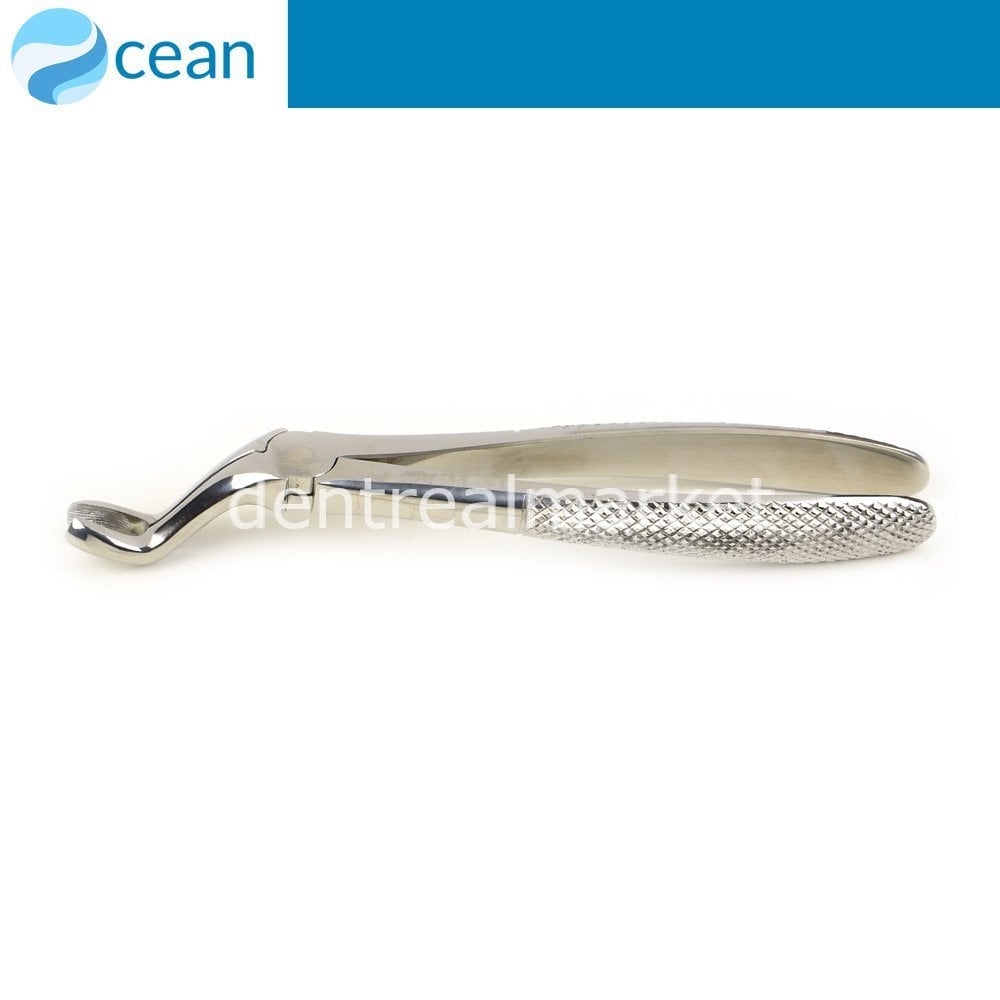 Ocean Adult Extraction Forceps #67 - Upper Wisdom Teeth
