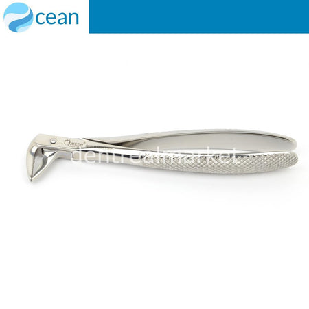 Ocean Adult Elevator #74N Lower Premolars and Roots