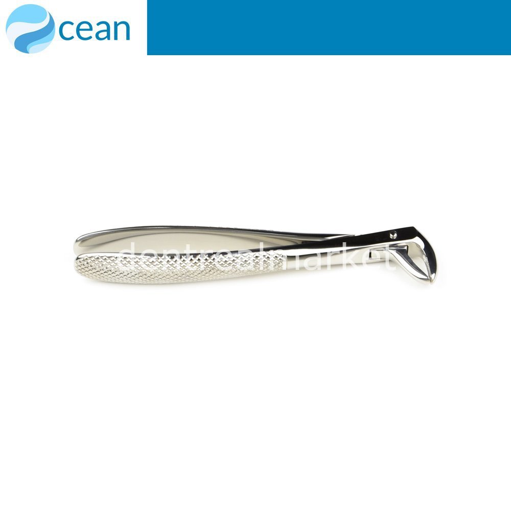 Ocean Adult Extraction Forceps #75 — Lower Premolars and Canines